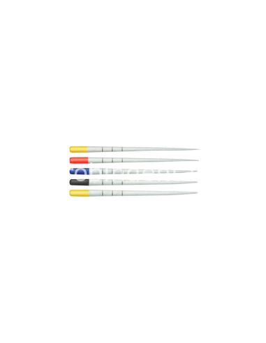 PAPER POINTS PROTAPER