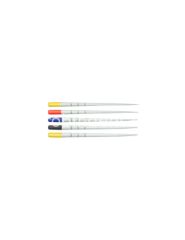 PAPER POINTS PROTAPER
