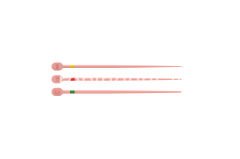 DENTSPLY TRUNATOMY CONFORM FIT GUTTA PERCHA