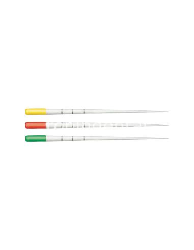 Trunatomy Paper Points